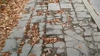 Całych płytek jest zaledwie kilka