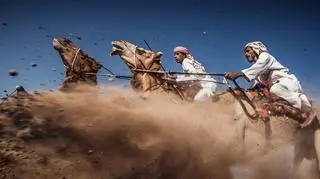 Camel Ardah
