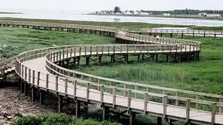 Centralnym punktem jest drewniany deptak zawieszony nad piaskiem La Dune de Bouctouche 