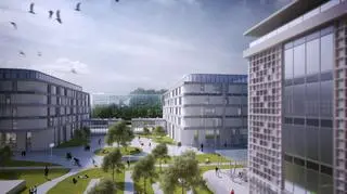 "Chciałem połączyć nowoczesne trendy z portowym klimatem"