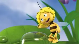 Choć Maja wygląda inaczej, jej osobowość się nie zmieniła