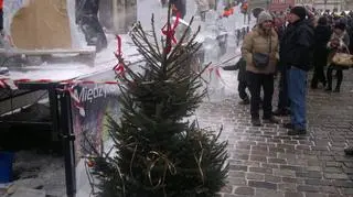 Choinka zajęła miejsce zniszczonej rzeźby