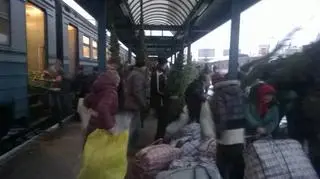 Choinki są hurtowo przewożone ukraińskimi pociągami 