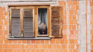 Chorwacka mieszkanka Vukovaru - 18 listopada 2014 r.