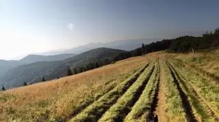 Chudy Wawrzyniec - w trasie