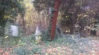 Cmentarz ewangelicki w Bielsku Białej