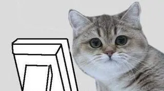 "Co ja pacze?" to popularny internetowy mem