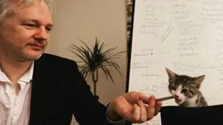 Co stało się z kotem Juliana Assange'a?