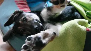 Co złego to nie ja...