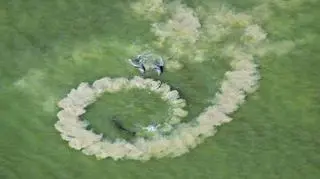 "Creative dining" Brian Skerry, USA