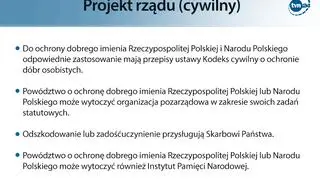 Cywilna ochrona dobrego imienia Polski i Polaków (wg rządu)