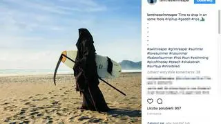 "Czas wpaść na kilku naiwniaków"