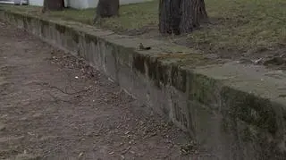 Część nagrobka wmurowana przy placu Powstańców Śląskich