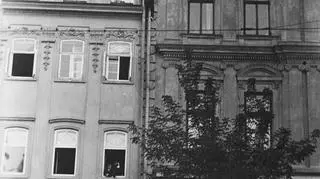Człowiek-mucha podczas występu w Krakowie