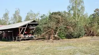 Cztery budynki są bardzo poważnie uszkodzone