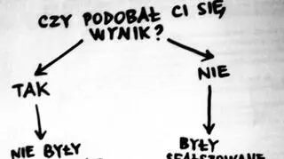 Czy wybory były sfałszowane?
