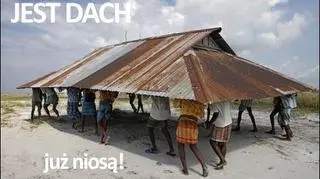 Dach przenośny