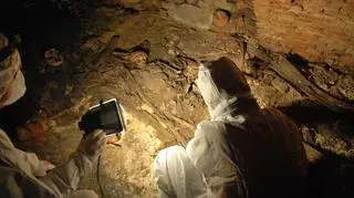 Dalsze badania wykażą, czy w kryptach pochowane są postacie historyczne 
