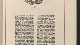 "Deklaracja Przyjaźni i Podziwu dla Ameryki"