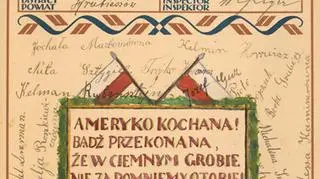 "Deklaracja Przyjaźni i Podziwu dla Ameryki"