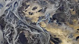 "Delta design" Hans Strand, Szwecja