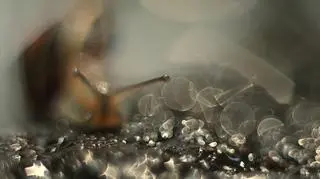 'Diamonds' Małgorzata Książkiewicz, Polska