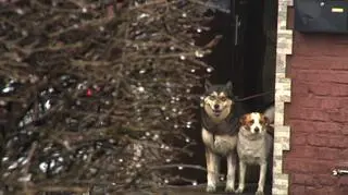 Diana i puszek nie były zaniedbane