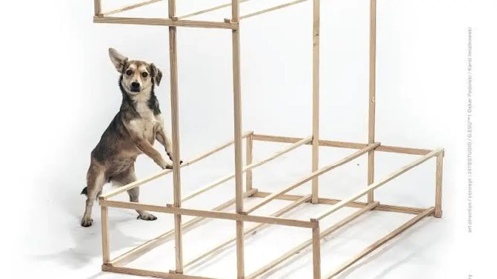 Dixie na listopad