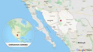 Do masakry doszło między stanami Chihuahua i Sonora przy granicy z USA