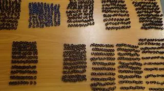 Do przemytu przyznał się 28-letni Ukrainiec