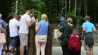 Do takich przypadków dochodzi notorycznie