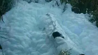 Do wypadku doszło około godz