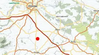 Do wypadku doszło pomiędzy miejscowościami Borek Strzelińki i Michałowice w kierunku na Wrocław (zumi.pl)