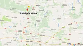 Do wypadku doszło w woj