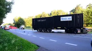Do zdarzenia doszło w pobliżu miejscowości Lubiewo 