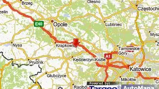 Do zdarzenia doszło w Zalesiu Śląskim (woj. opolskie)