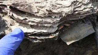 Dokumenty są w języku niemieckim 