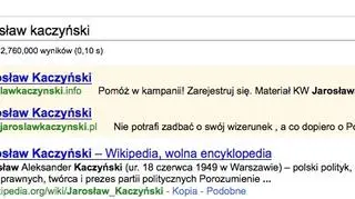 Domena prezesa PiS w google