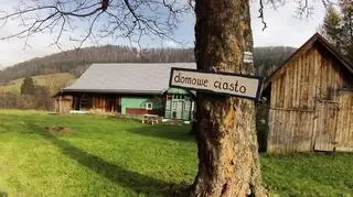 Domowe ciasto na naszej trasie