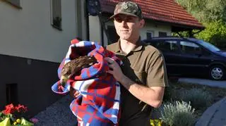 Drapieżnik trafił na rehabilitację