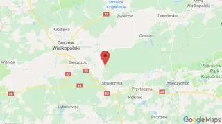 Droga między Skwierzyną a Dobrojewem - miejsce, w którym doszło do wypadku 