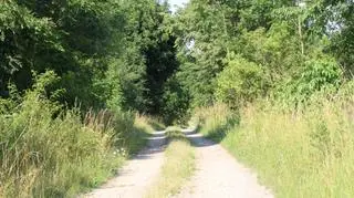 Droga przez Pilce