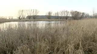 Drugie ciało znaleziono w środę w stawie 