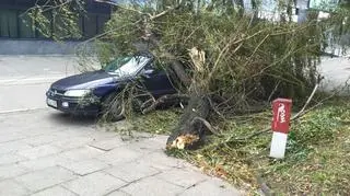 Drzewo spadło na auto