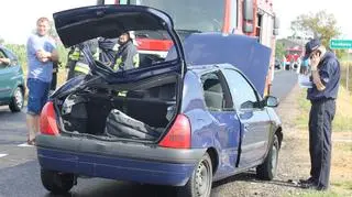 Drzewo spadło na osobowe renault
