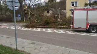 Drzewo zerwało linię w Rumii