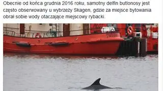 Duńczyków też odwiedził 