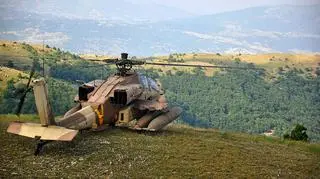 Dużą rolę odgrywają śmigłowce AH-64, które odpalają precyzyjne rakiety kierowane i mogą wspierać żołnierzy ogniem z działka 30 mm