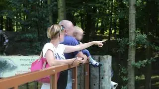 Dziecko nad wybiegiem dla niedźwiedzi