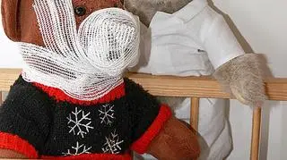 Dzielny miś Uszatek i doktor Ziuta